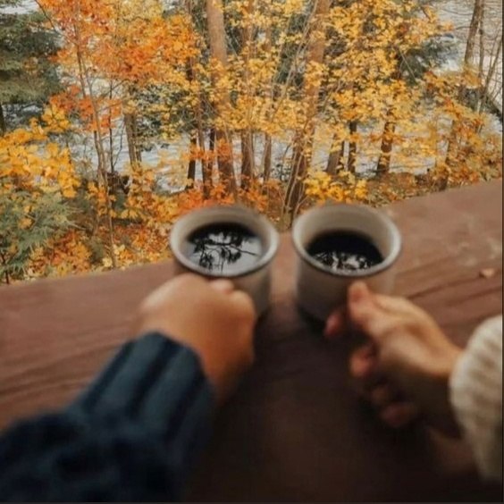 g -  .    - u  .