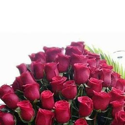 ����, ������, 48 ���