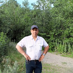 , 50, 