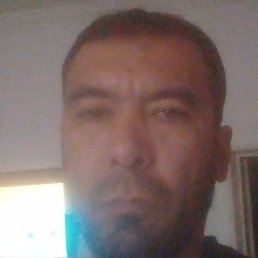 ������, �����, 43 ����