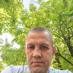 , 44, 