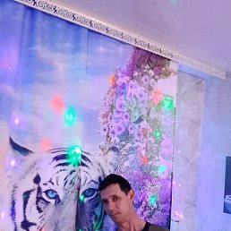 ���� �������, �����������, 44 ���� - ��������� 5 ������� 2026