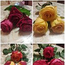 ���� ����, ������� - ��������� 29 ������ 2026 � ������ ���� ����������