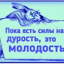  Vladimir,  -  18  2024    