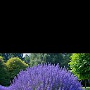 ���� ����, ��������� - ��������� 12 ������� 2024