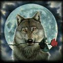 ���� �������, �����������, 37 ��� - ��������� 30 ����� 2024 � ������ ���� ����������