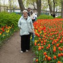 ���� ����, �����-��������� - ��������� 23 ������� 2026