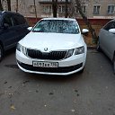���� ������, �������, 34 ���� - ��������� 3 ���� 2024