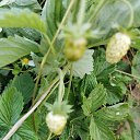 ���� �������, �������, 70 ��� - ��������� 5 ���� 2025 � ������ ������ ��������