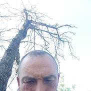 , 41 , 