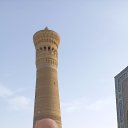 ���� ������, ���, 77 ��� - ��������� 11 ����� 2024 � ������ ���� ����������