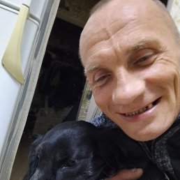 , 41, 