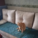 ���� ��������, ���������, 62 ���� - ��������� 31 ������� 2025 � ������ ���� ����������