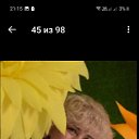 ���� �����, ���, 64 ���� - ��������� 27 ������� 2024 � ������ ���� ����������