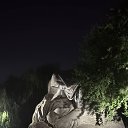 ���� ��������, ���������, 51 ��� - ��������� 30 ���� 2025 � ������ ���� ����������