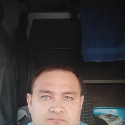 �����, 40 ���, ���