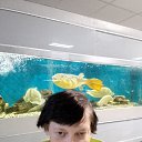 ���� �������, ������, 49 ��� - ��������� 5 �������� 2025 � ������ ������ ��������