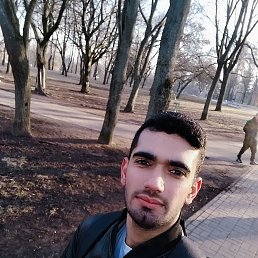 , 24, 