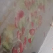 ������� ��, 21 ���, �����