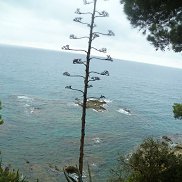 ��������, 60 ���, �����-���������