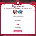 ���� ����, ����������� - ��������� 2 ��� 2026 � ������ ������ ��������