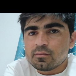 �����, ������, 33 ����