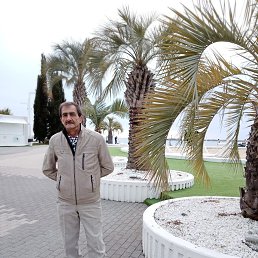 ���� ������, ����, 64 ���� - ��������� 19 ������ 2026