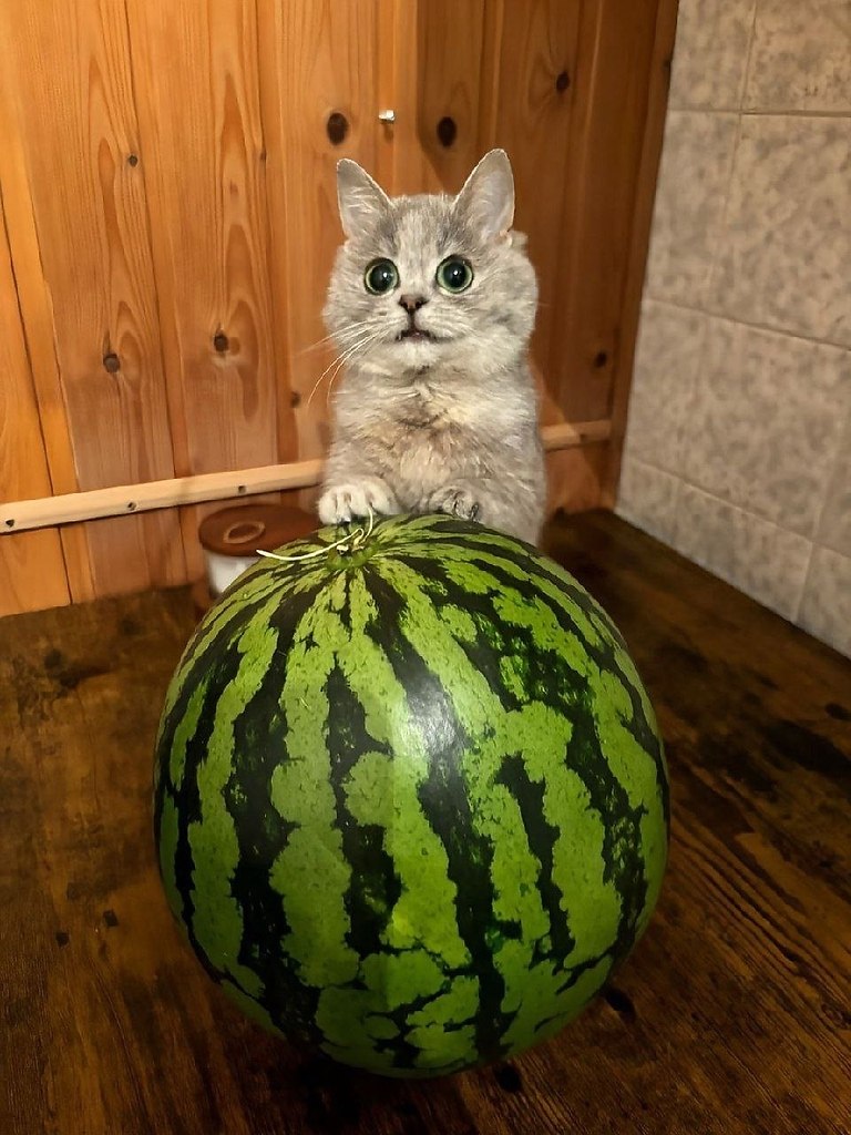,           - 7