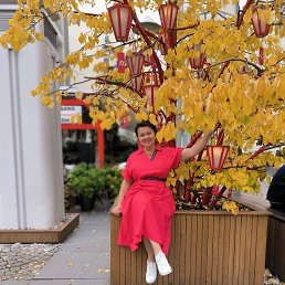 �������, ������, 50 ���