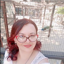 ���� ������, �������, 48 ��� - ��������� 15 ����� 2026