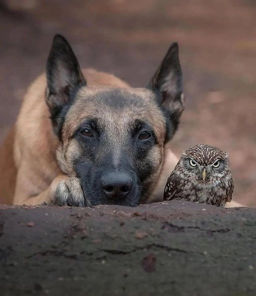 �������� �������� ���� ������ �������� �������� ����� ������ �������, ��� ����������� ������� ���� ... - 6