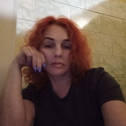 ���� ������, ������, 49 ��� - ��������� 9 ������� 2024