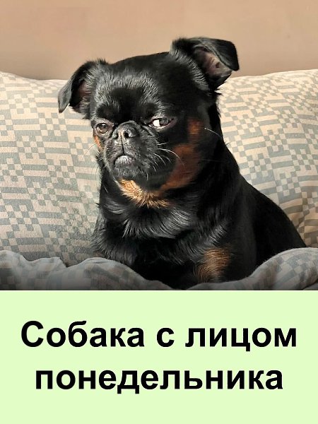 � ������ ���� �� 11:00