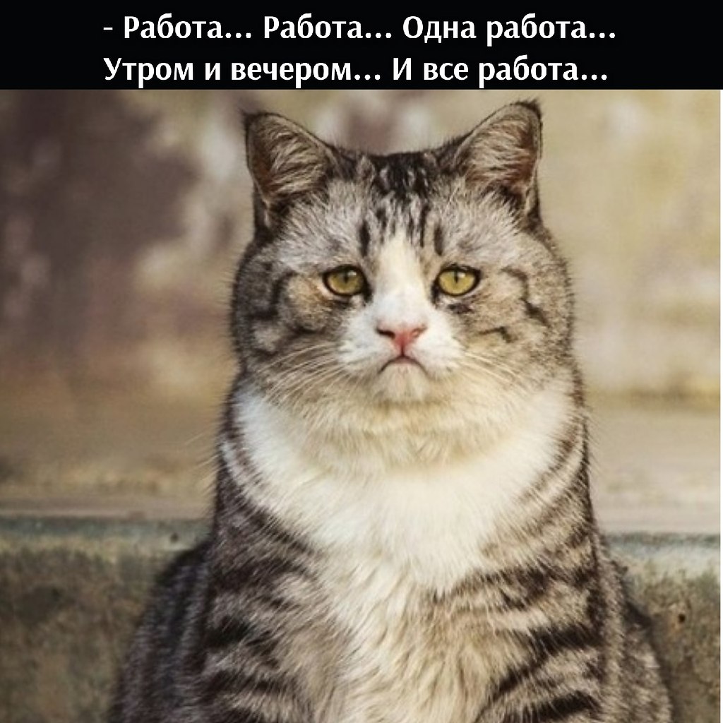 ��� ���� � ����� �� �� - 21 ����� 2026 � 14:30 - 2