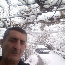 �����, 59 ���, ������