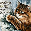 ���� ������, ������� ��������, 35 ��� - ��������� 1 ������� 2025 � ������ ������ ��������