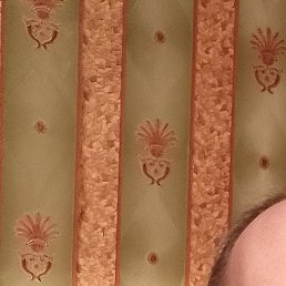 �������, ������, 52 ����