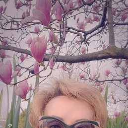 ���� �����, ����, 62 ���� - ��������� 9 ����� 2024