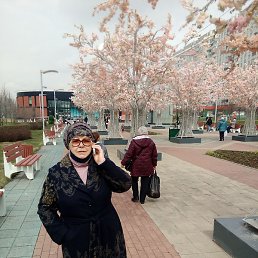 ������� �����������, ������, 69 ���