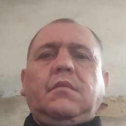 ���������, ������, 43 ����