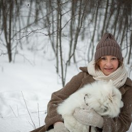 �����, ���������