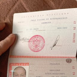 , 41, 