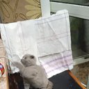 ���� ����, �����, 41 ��� - ��������� 31 ������� 2023 � ������ ���� ����������