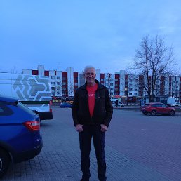 , 61, 