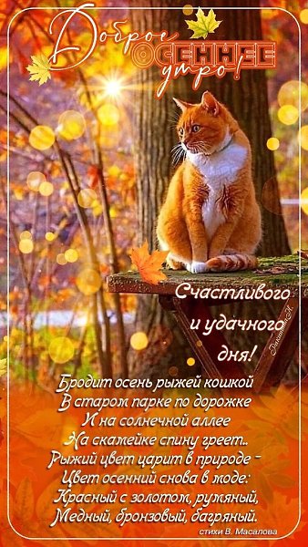   - 19  2025  10:17