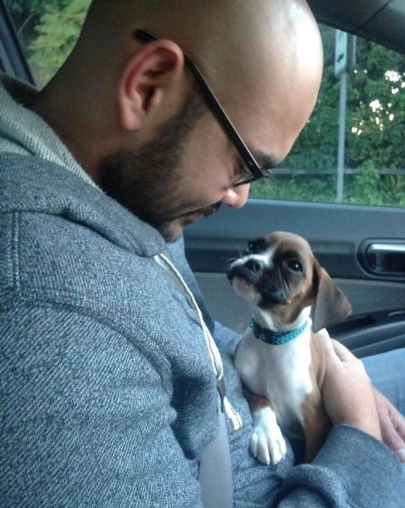 ,       20     .    ...