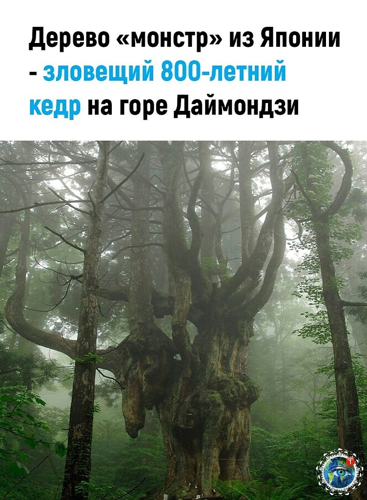  |  |   5 - 27  2024  01:04