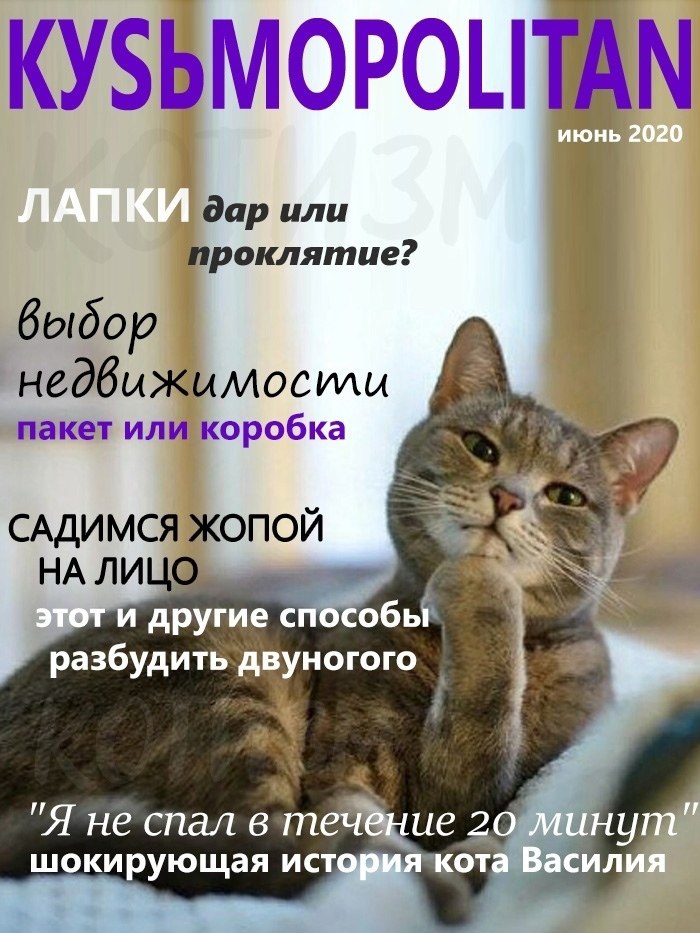 ������ ��� ������ ������