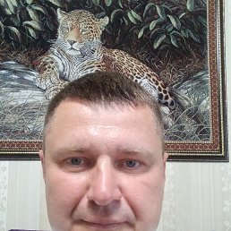 ���� ������, ������, 50 ��� - ��������� 4 ������ 2026