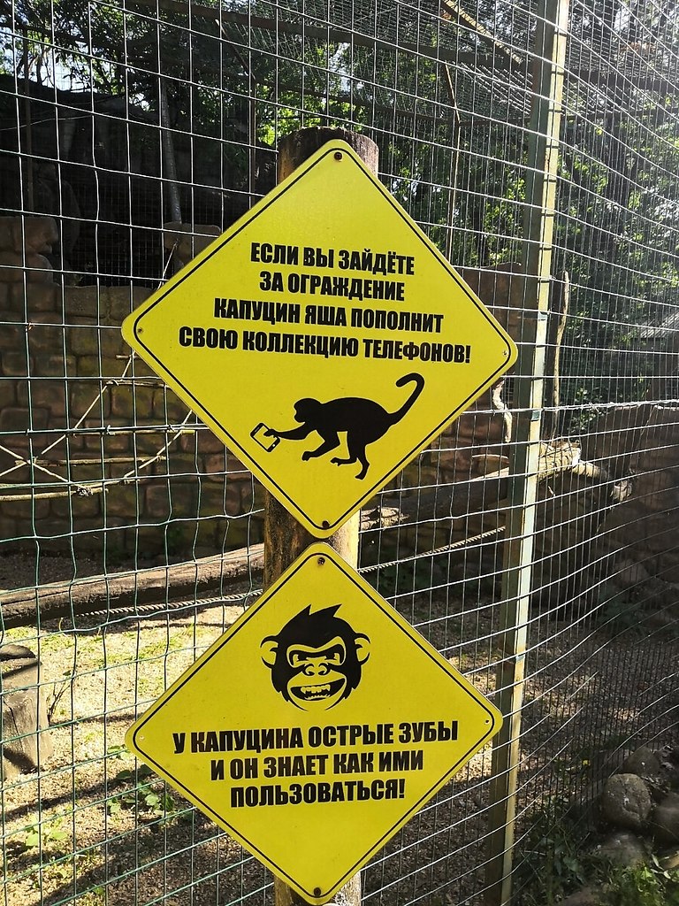    - 9